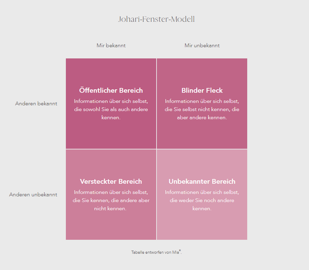 Johari Window Model