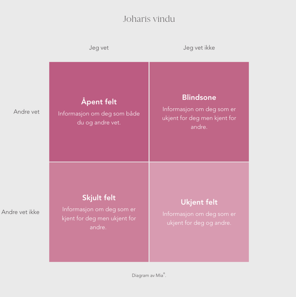 Johari Window Model