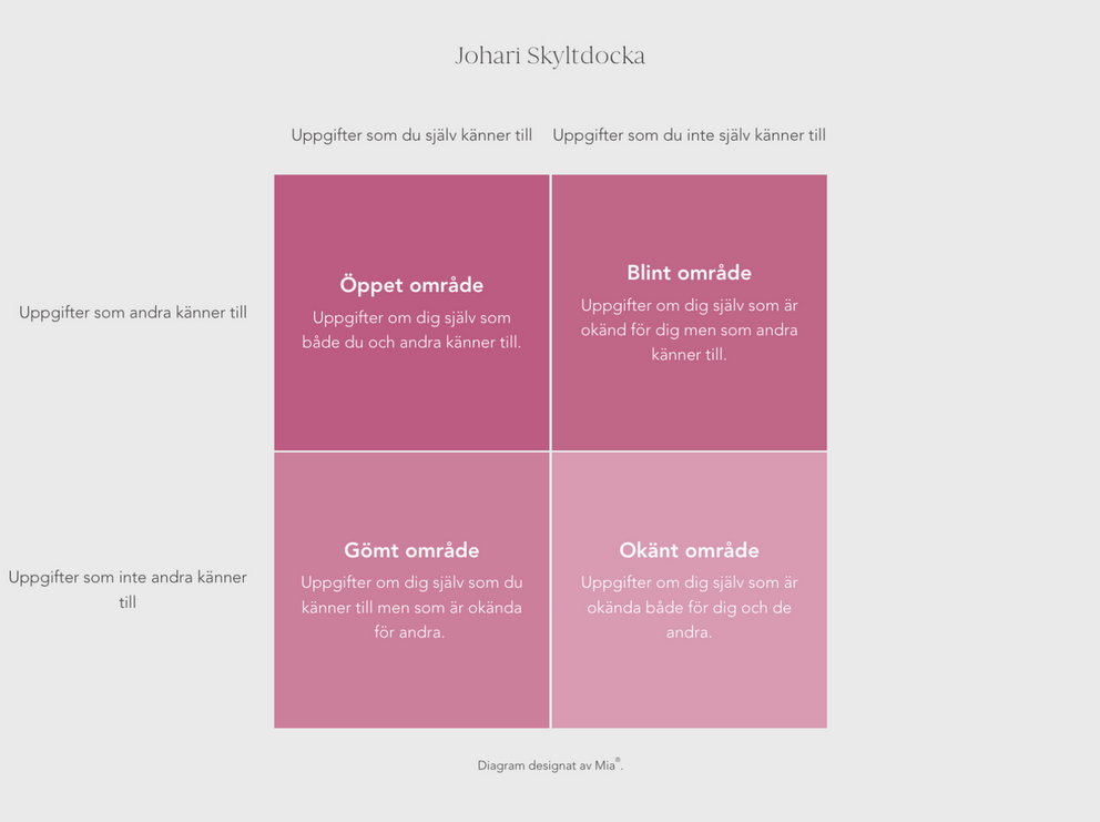 Johari Window Model