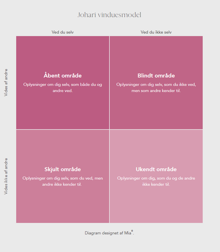 Johari Window Model