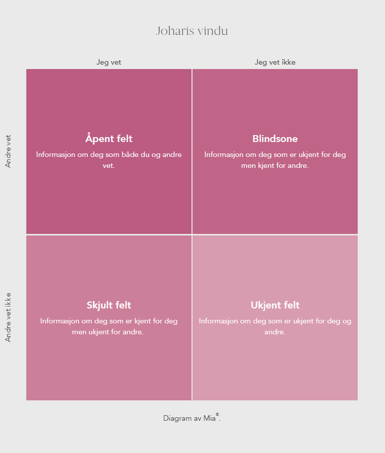 Johari Window Model