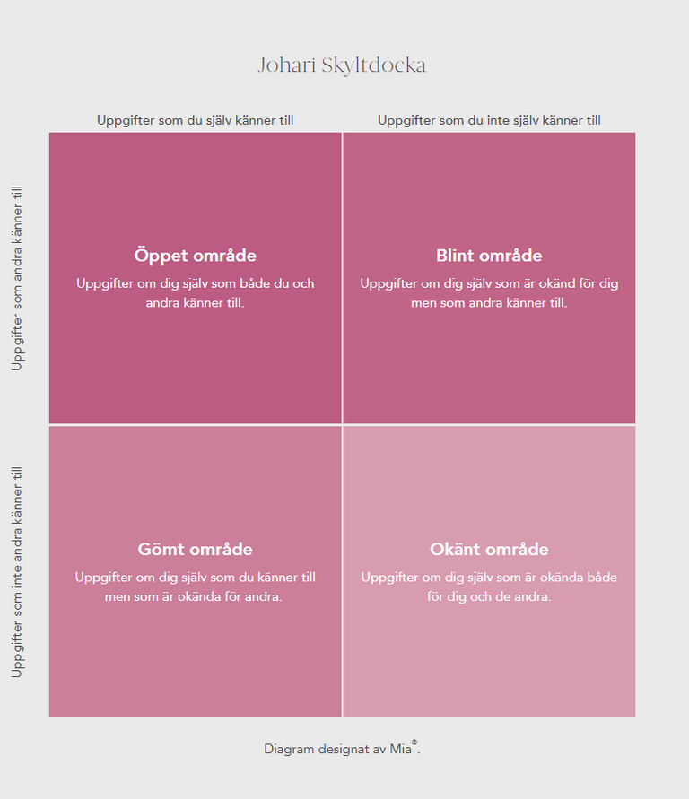 Johari Window Model