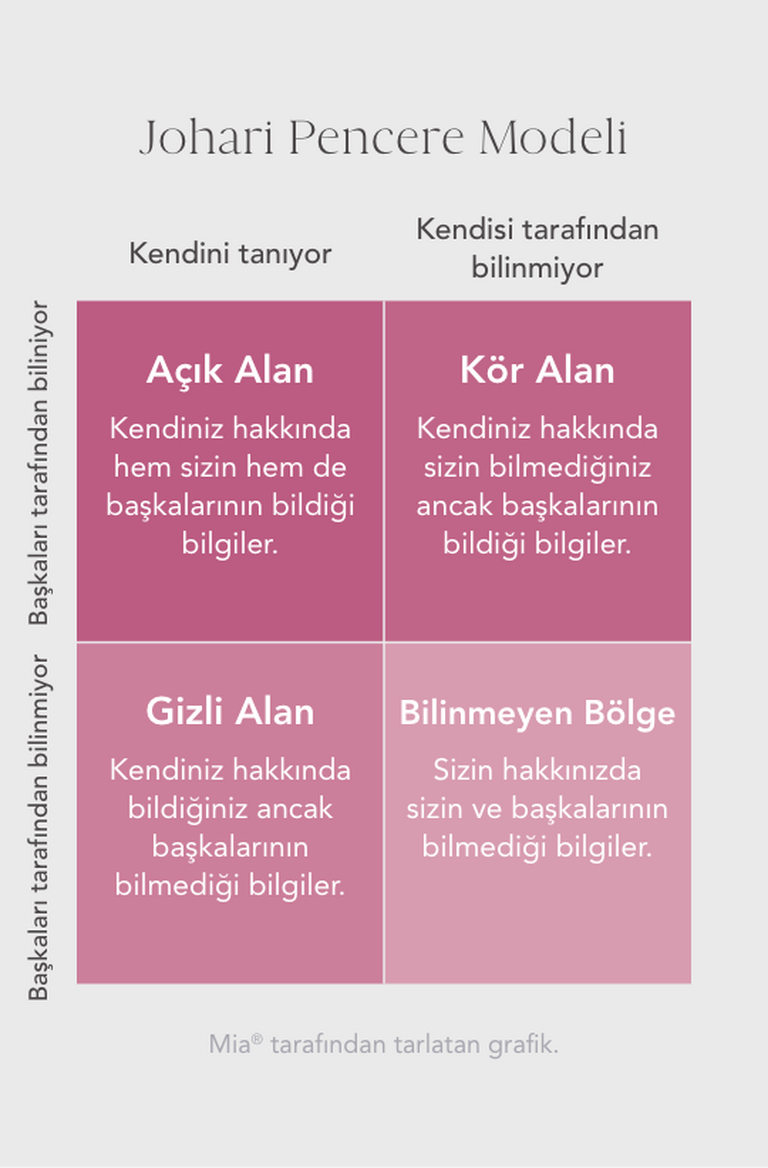 Johari Window Model